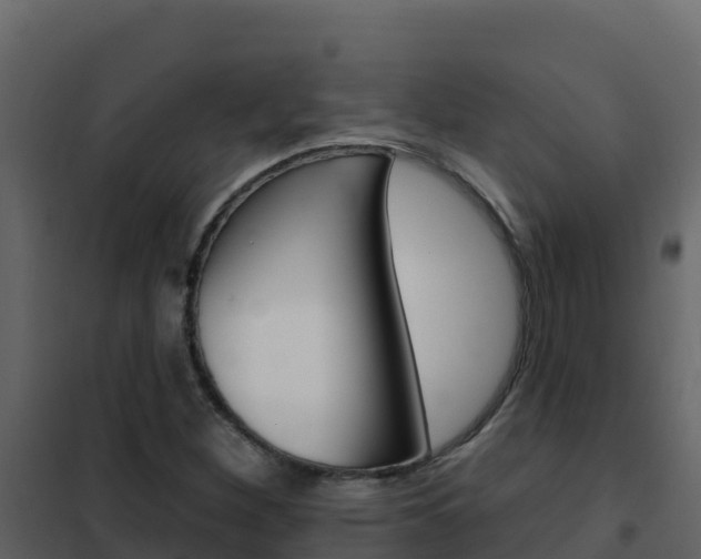 X0000102491260200808081048