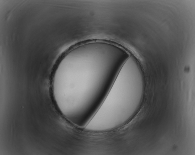 X0000102491264200808081048