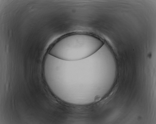 X0000102491267200808081048