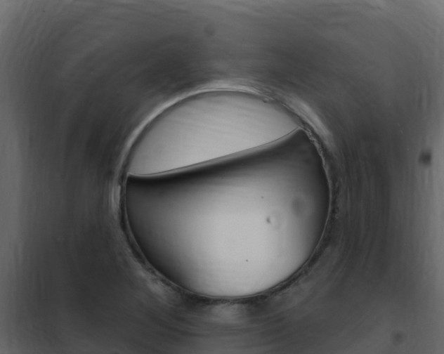 X0000102491268200808081048