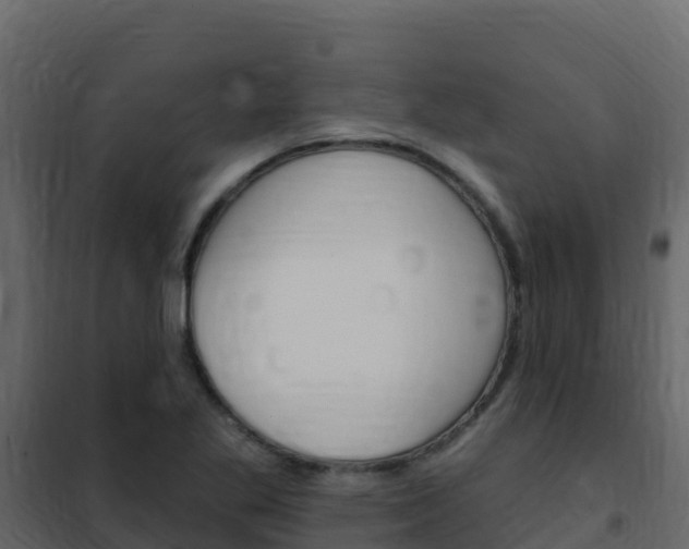 X0000102491269200808081048