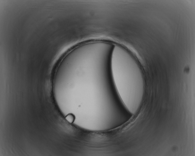 X0000102491270200808081048