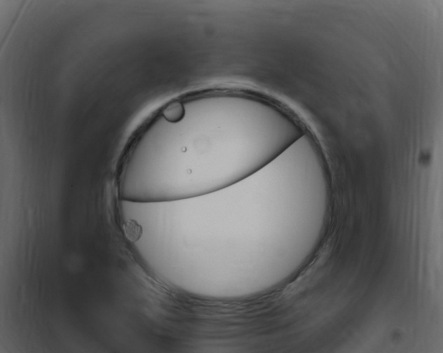 X0000102491271200808081048