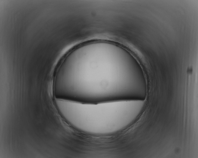 X0000102491272200808081048