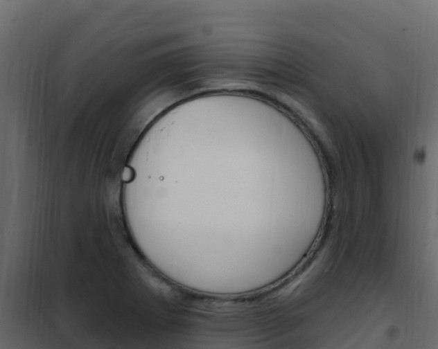 X0000102491273200808081048