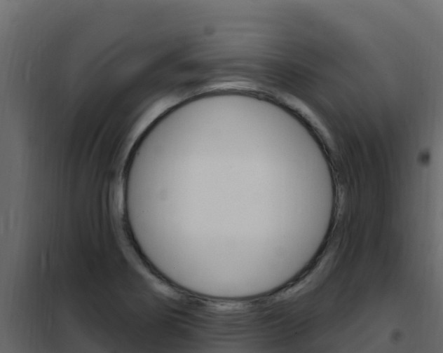 X0000102491274200808081048