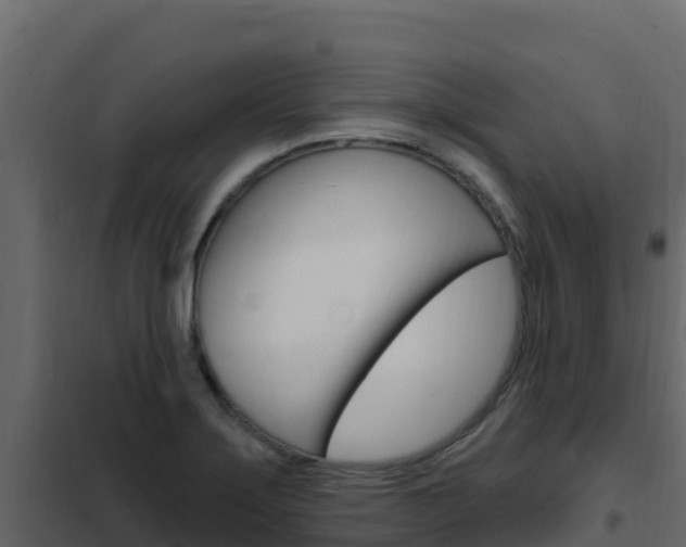 X0000102491275200808081048