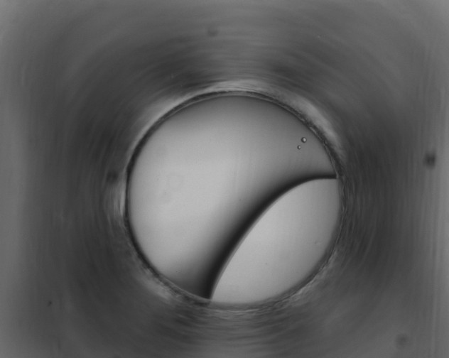 X0000102491276200808081048