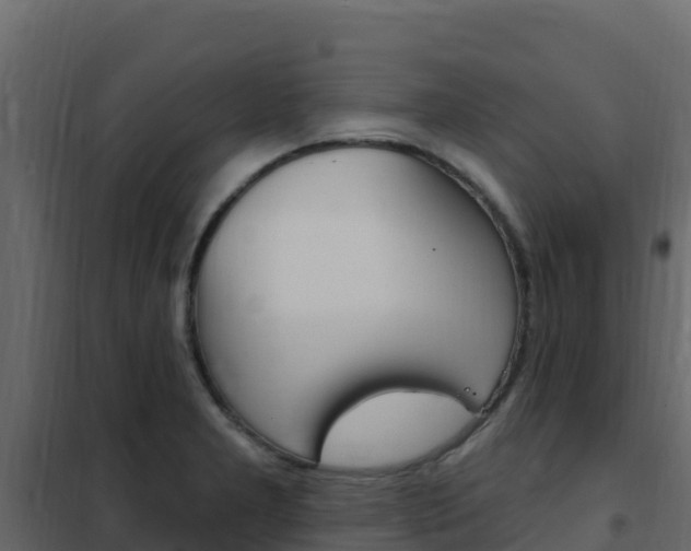 X0000102491277200808081048