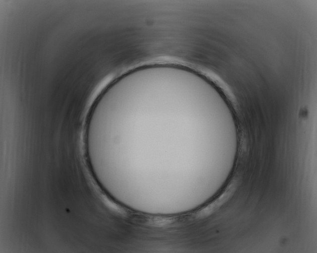 X0000102491278200808081048