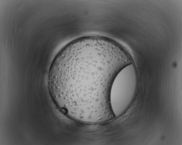 X0000102491279200808081048