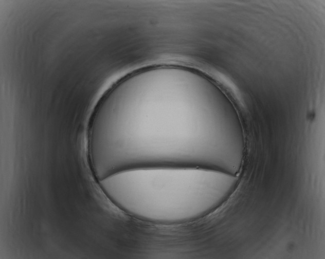 X0000102491280200808081048