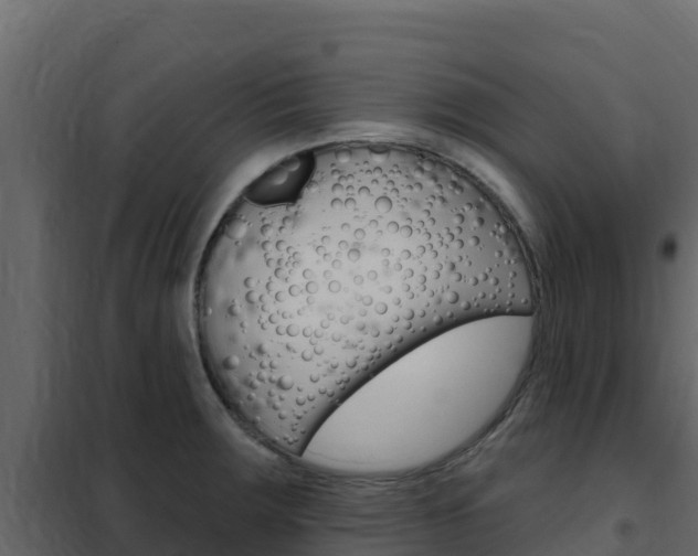 X0000102491283200808081048