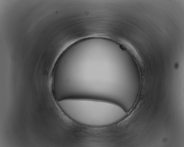 X0000102491284200808081048
