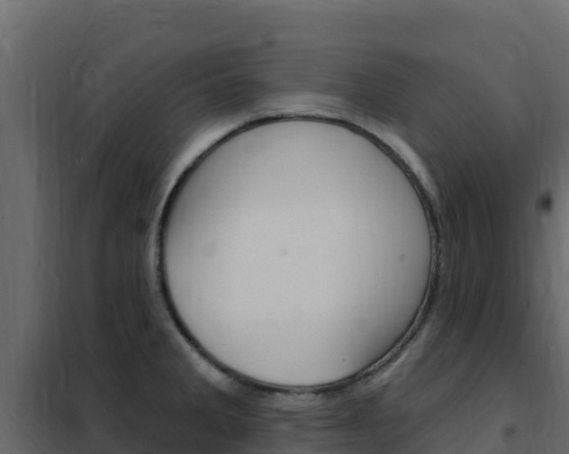 X0000102491285200808081048