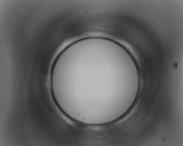 X0000102491286200808081047