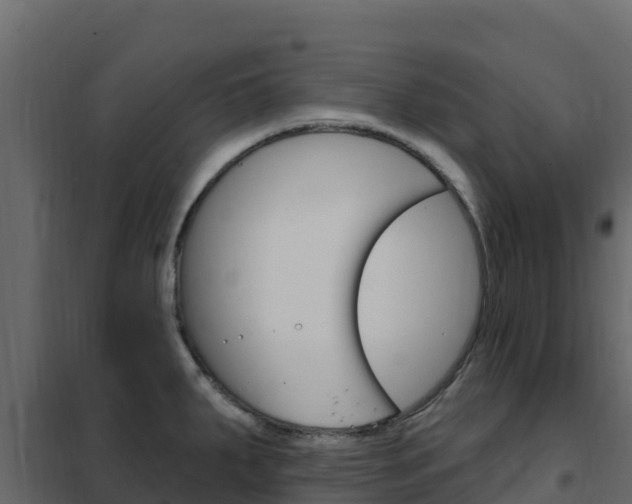 X0000102491287200808081047