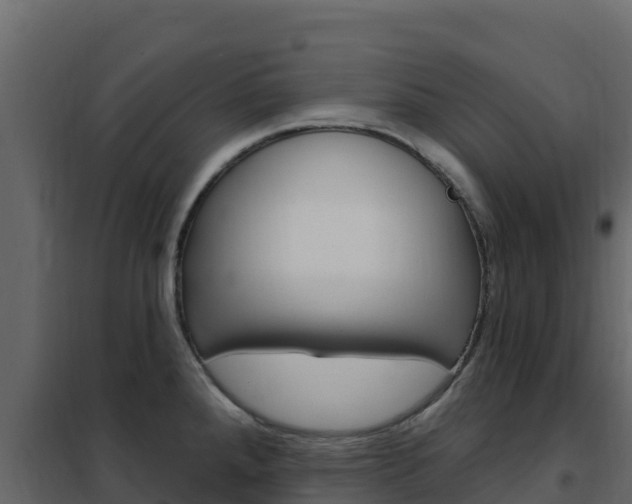 X0000102491288200808081047