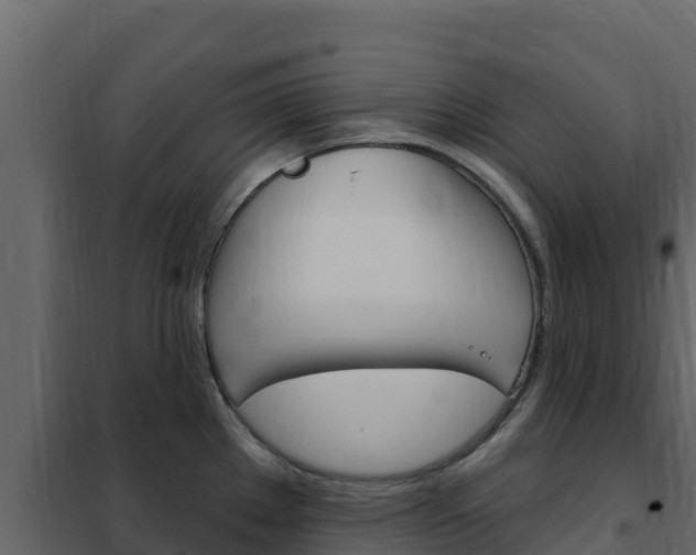 X0000102491289200808081047
