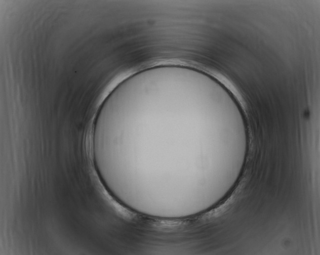X0000102491290200808081047