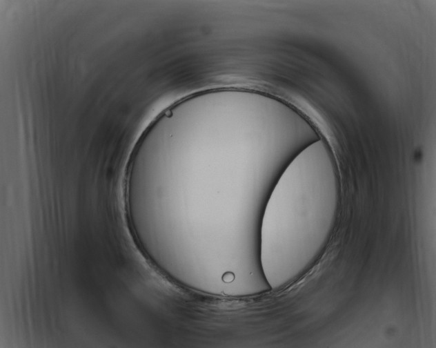 X0000102491291200808081047