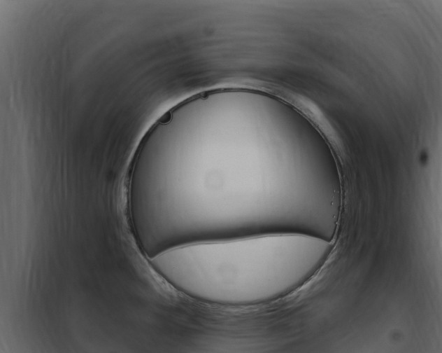 X0000102491292200808081047