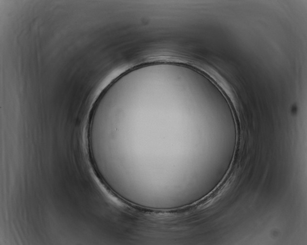 X0000102491293200808081047