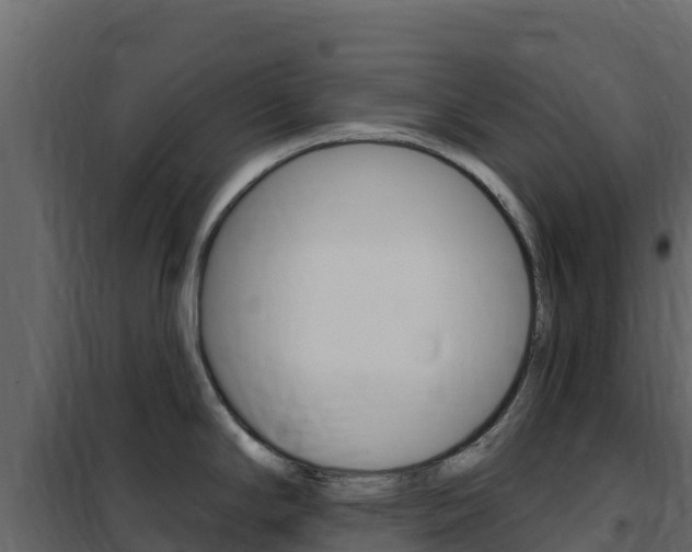X0000102491294200808081047