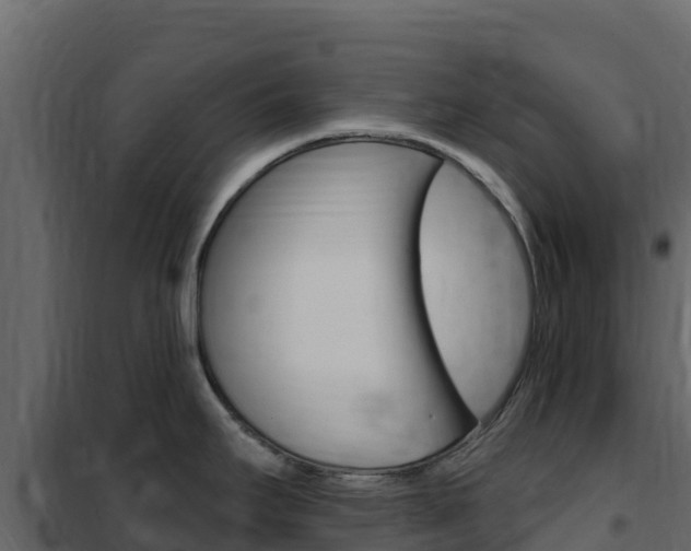 X0000102491295200808081047