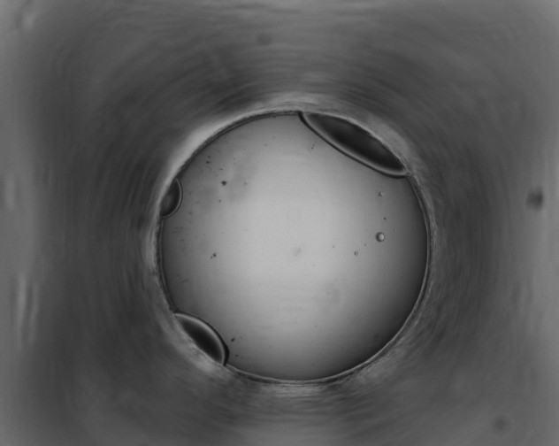 X0000102491296200808081047