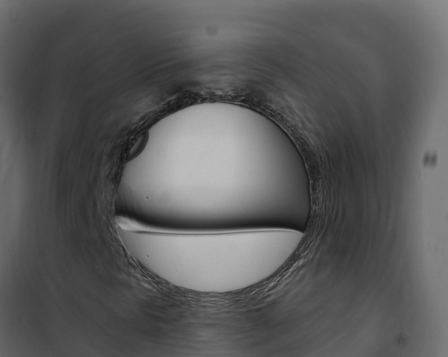 X0000102491297200808081046