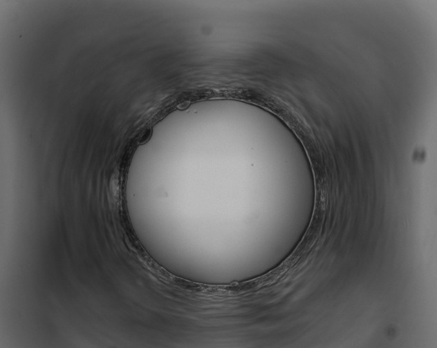 X0000102491298200808081046