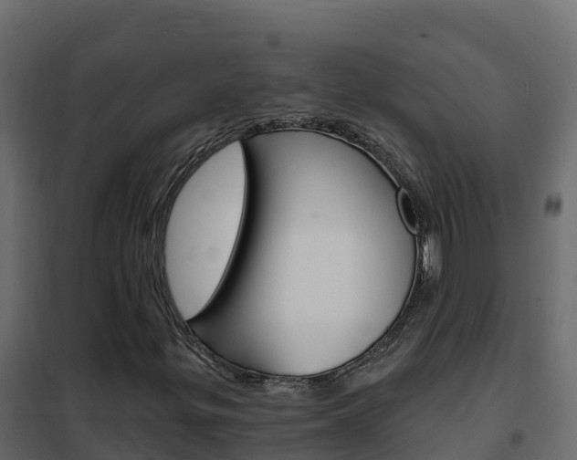 X0000102491299200808081047