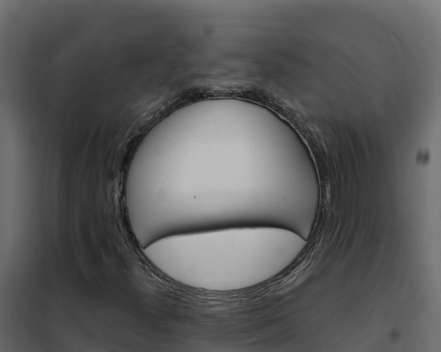 X0000102491300200808081047