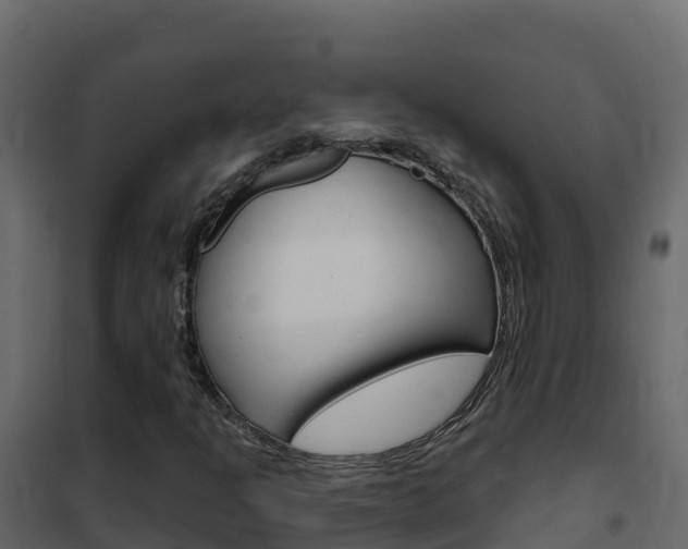 X0000102491301200808081047
