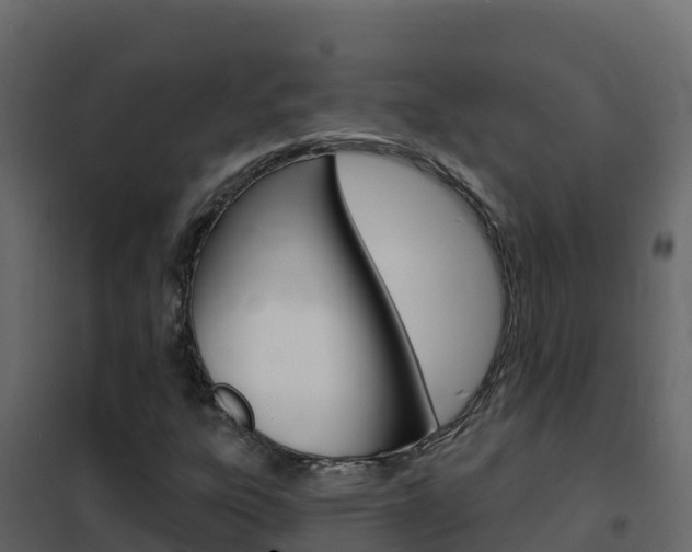 X0000102491303200808081047