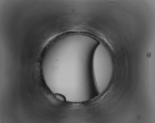 X0000102491304200808081047