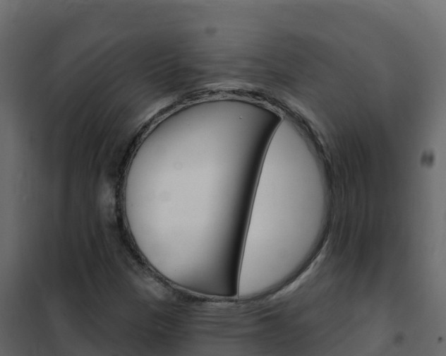 X0000102491305200808081047