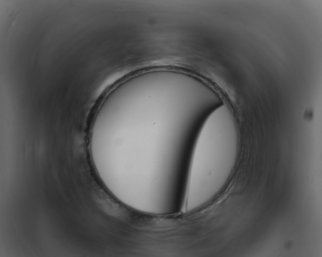 X0000102491308200808081047