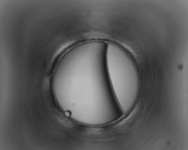 X0000102491309200808081047