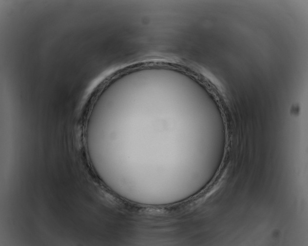 X0000102491310200808081047