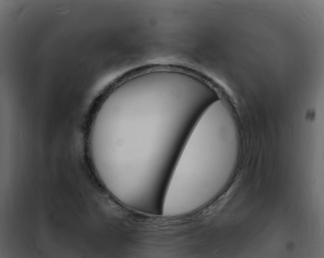 X0000102491311200808081047