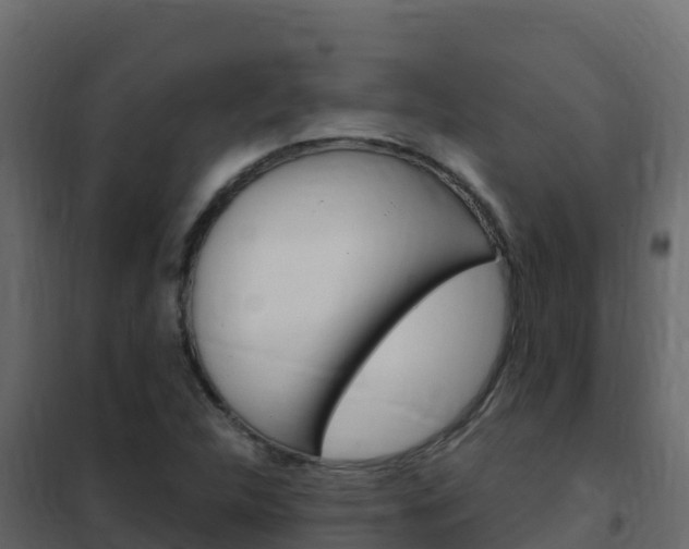 X0000102491312200808081047