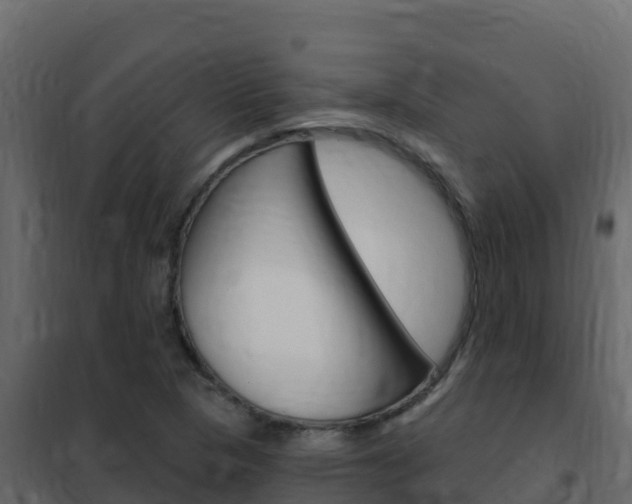 X0000102491313200808081047