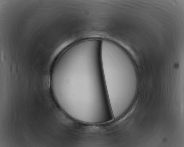 X0000102491317200808081047
