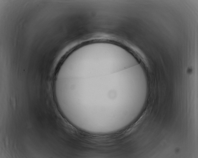 X0000102491318200808081047
