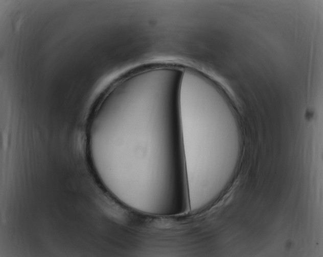 X0000102491319200808081047