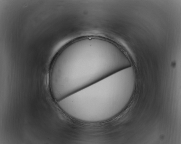 X0000102491320200808081047