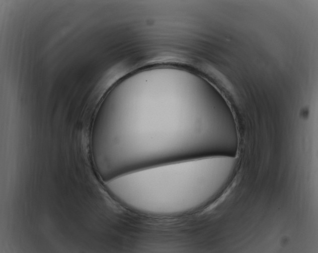 X0000102491321200808081047