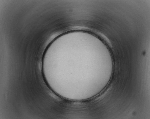X0000102491322200808081047